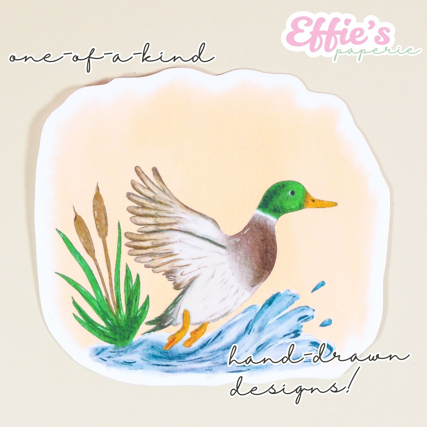 Watercolor Mallard Duck Sticker