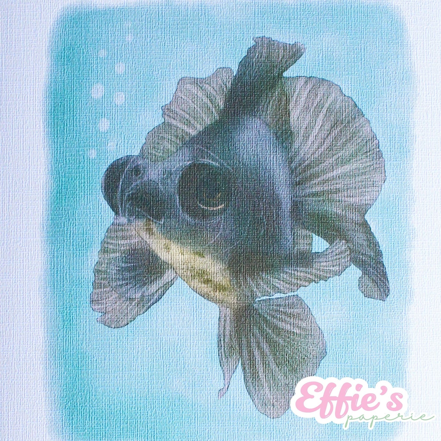 Black Moor Goldfish Love Card