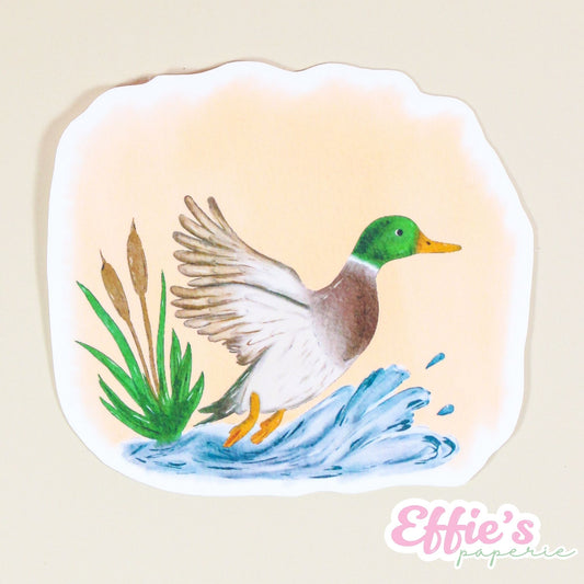Watercolor Mallard Duck Sticker