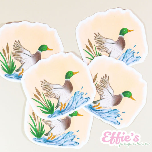 Watercolor Mallard Duck Sticker
